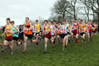 Senior boys 2019 New Balance English Schools Cross Country Champs, Temple Newsam, Leeds. Photo:  David T. Hewitson/Sports for All Pics